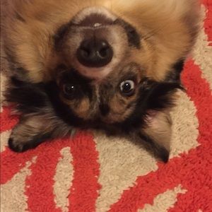 Meet your Posher, Becky